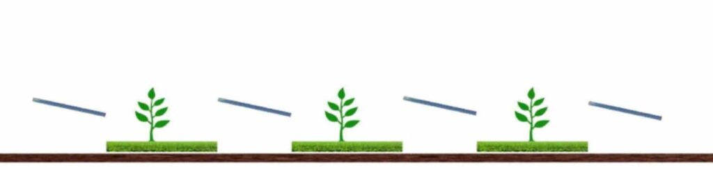 Sistema agrivoltaico fra file di moduli